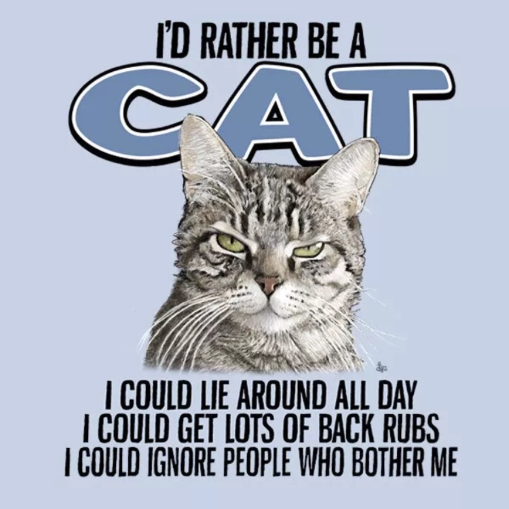 Unisex Style T-shirt I’d  Rather Be A Cat